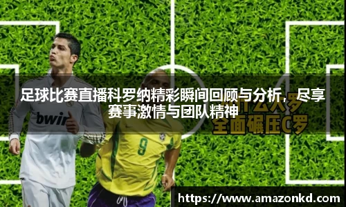jbo竞博电竞
